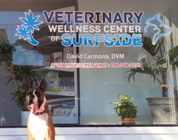 Staff - Veterinary Wellness Center of Surfside